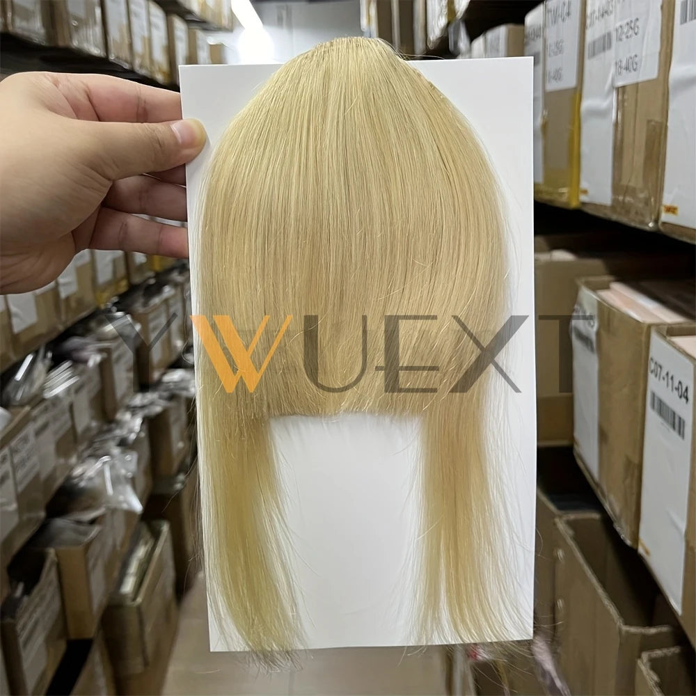 YWUEXT Blonde Clip-In Bangs Human Hair Pieces Real Natural Staight Hair 8 inch Bangs Clips in Fringe Bangs Hairpiece for Women