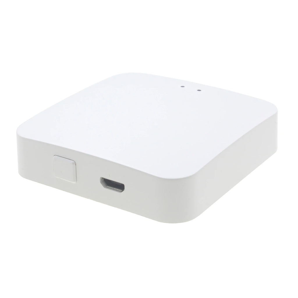 BT/Wifi/ Zigbee Control Smart Blinds Drive Motor Tuya Motorized Chain Roller Control Shade Shutter Drive Motor Replacement