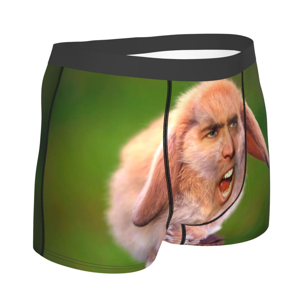 Custom Nicolas Cage Boxer Shorts For Homme 3D Printed Male Nic And His Girls Underwear Panties Briefs Breathbale Underpants