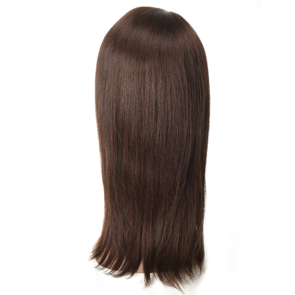 Sleek Highlight Lace Front Wig For Women 13x4 Lace Front Brazilian Hair Wigs Straight Colored Lace Wigs 18 Inch Long Lace Wigs