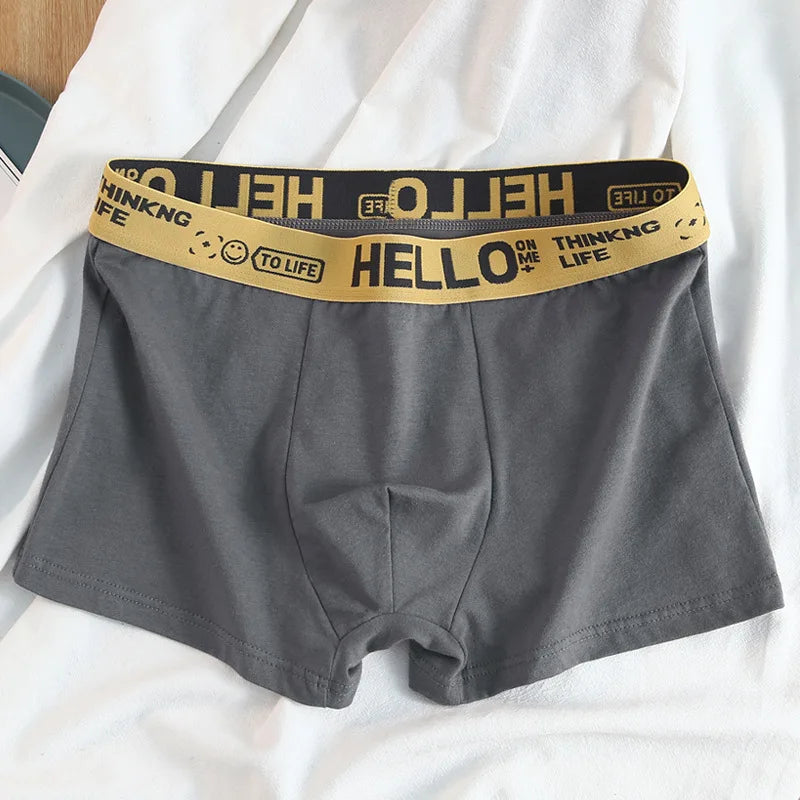 12 pieces Mens Underwear Men Cotton Underpants Male Pure Men Panties Shorts Breathable Boxer Shorts Comfortable soft Plus size