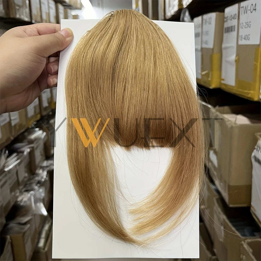 YWUEXT Blonde Clip-In Bangs Human Hair Pieces Real Natural Staight Hair 8 inch Bangs Clips in Fringe Bangs Hairpiece for Women