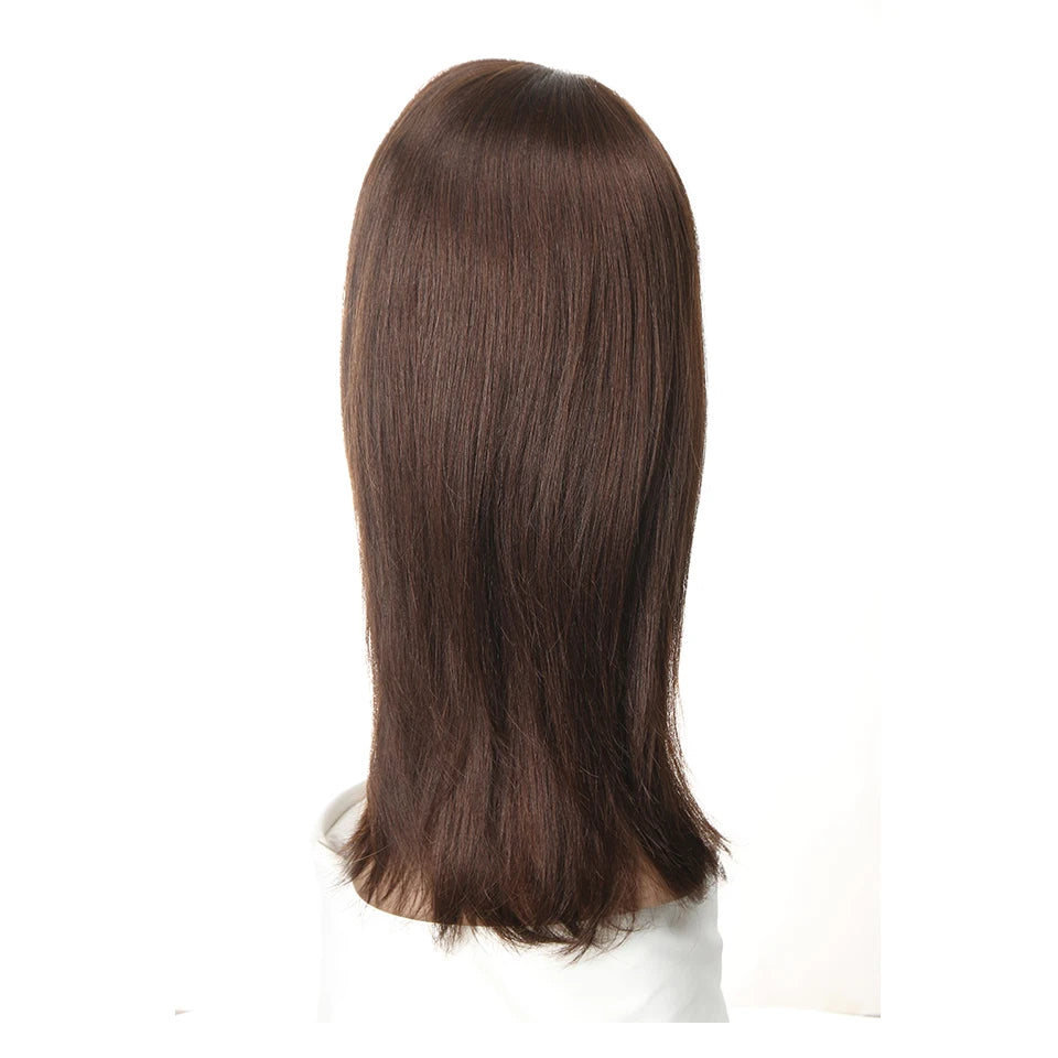 Sleek Highlight Lace Front Wig For Women 13x4 Lace Front Brazilian Hair Wigs Straight Colored Lace Wigs 18 Inch Long Lace Wigs
