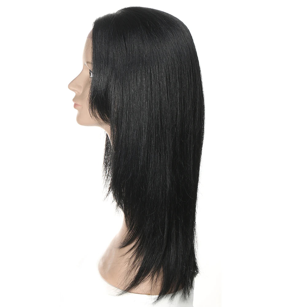 Sleek Highlight Lace Front Wig For Women 13x4 Lace Front Brazilian Hair Wigs Straight Colored Lace Wigs 18 Inch Long Lace Wigs