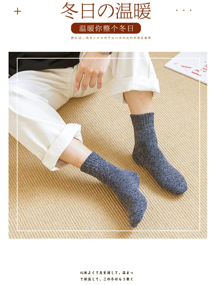 5 Pairs Winter Socks Men's Wool Warm Socks Thick Towel Mid-Calf Anti-Cold Snow Boots Socks Retro Solid Color Merino Terry Socks