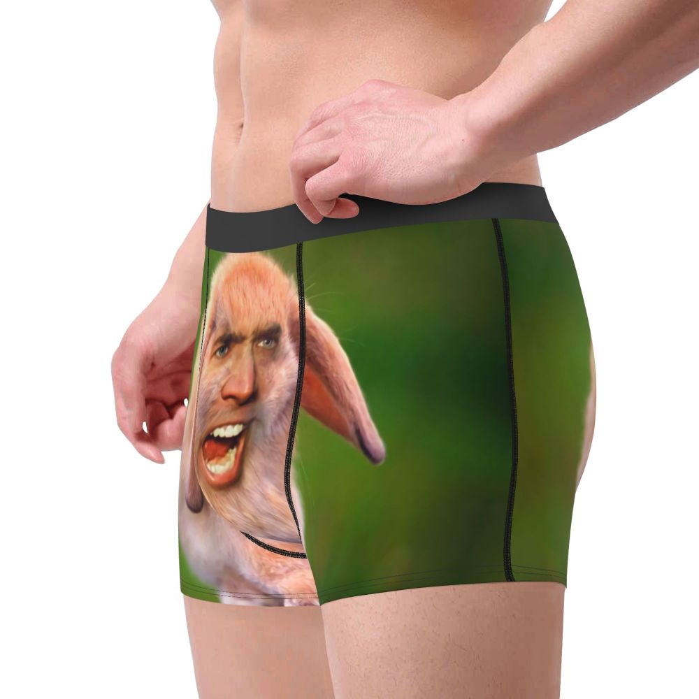 Custom Nicolas Cage Boxer Shorts For Homme 3D Printed Male Nic And His Girls Underwear Panties Briefs Breathbale Underpants