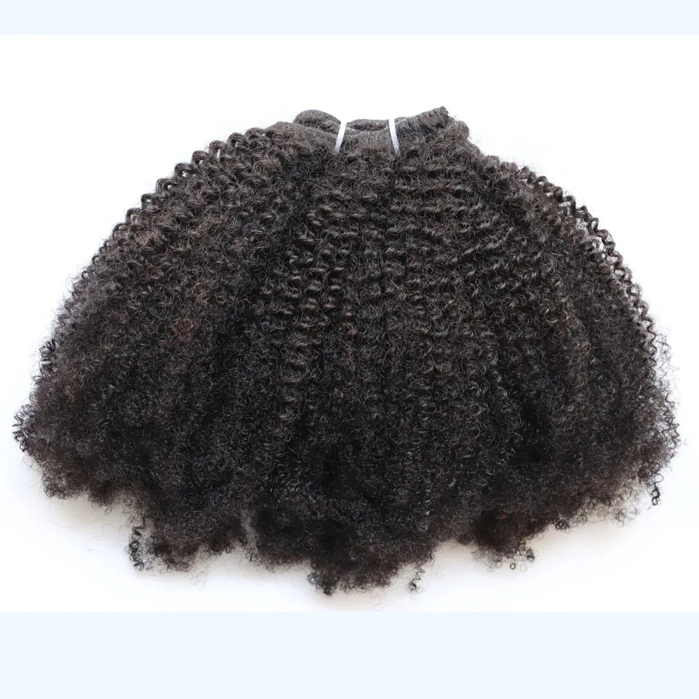 KPLYGDG Real 4C Afro Kinky Curly Human Hair Extensions Clips In Natural Black Virgin Remy Clip In Extensions Real Human Hair