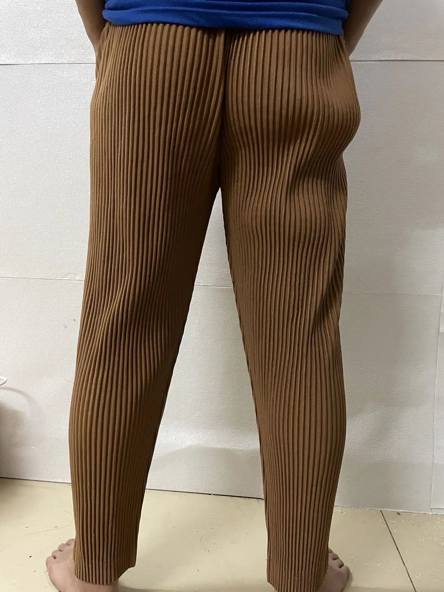 Pleats Pleated Commuter Pants Men's 2024 Autumn New Draped Elastic Trousers Casual Japanese Men Solid Color Nine Minute Pants