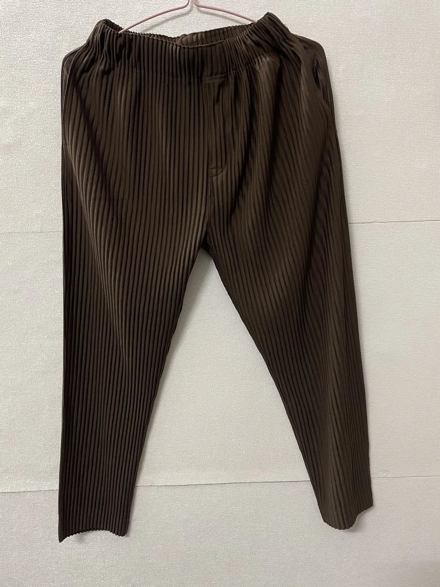 Pleats Pleated Commuter Pants Men's 2024 Autumn New Draped Elastic Trousers Casual Japanese Men Solid Color Nine Minute Pants
