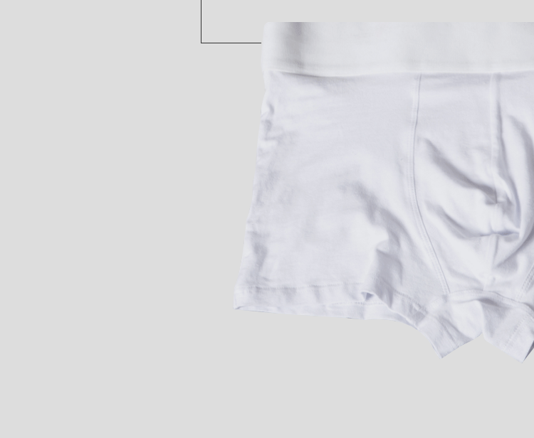 ORLVS Brand Men Underwear Boxer cotton mens underpants male panties  shorts U convex pouch for gay breathable calzoncillo hombre
