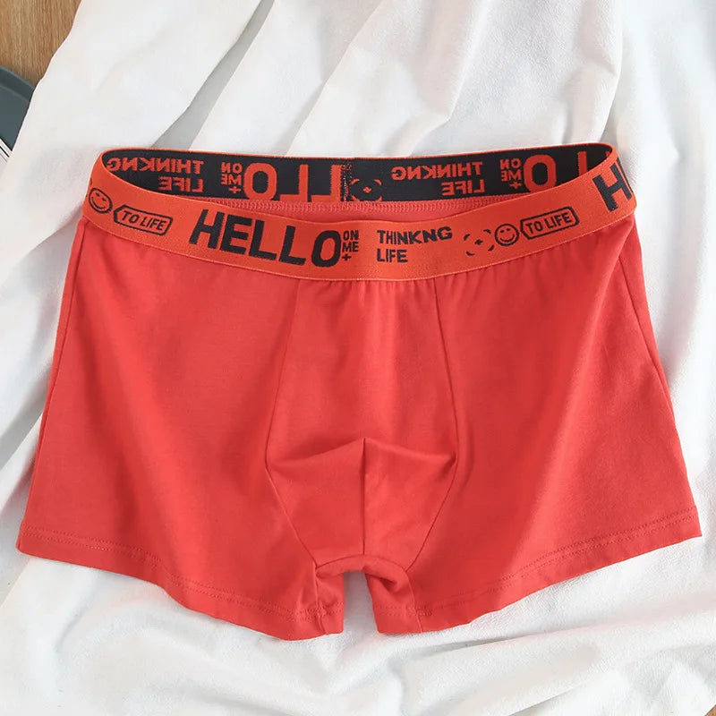 12 pieces Mens Underwear Men Cotton Underpants Male Pure Men Panties Shorts Breathable Boxer Shorts Comfortable soft Plus size