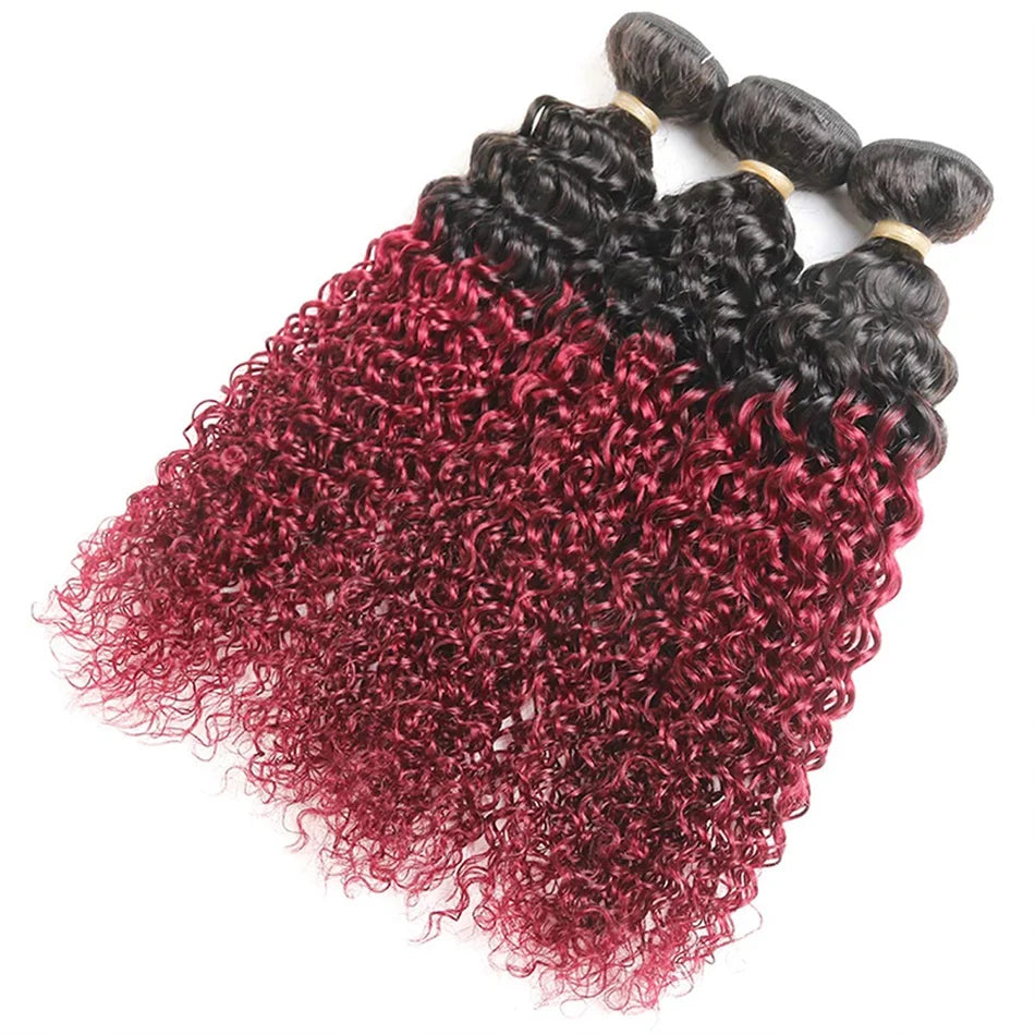 10A Mongolian Afro Kinky Curly Human Hair 2/3 Bundles with 4x4 Lace Closure 100% Unprocessed Virgin Kinky Curly Human Hair Weave