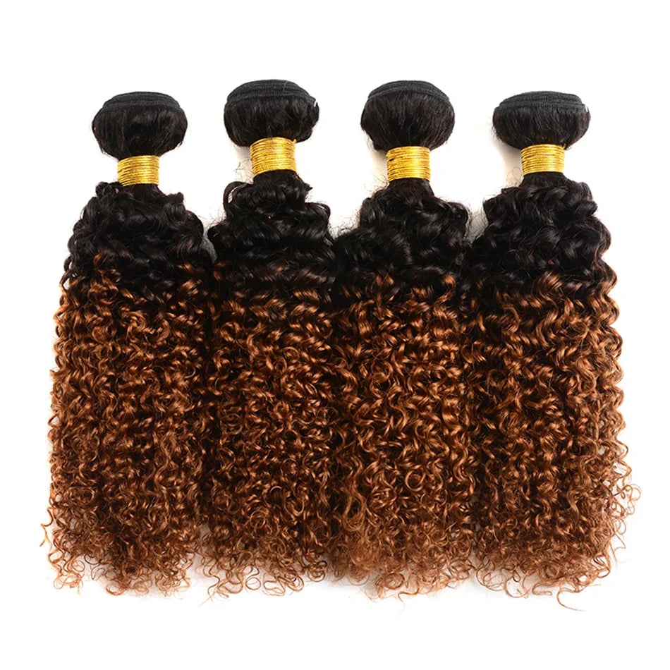 10A Mongolian Afro Kinky Curly Human Hair 2/3 Bundles with 4x4 Lace Closure 100% Unprocessed Virgin Kinky Curly Human Hair Weave