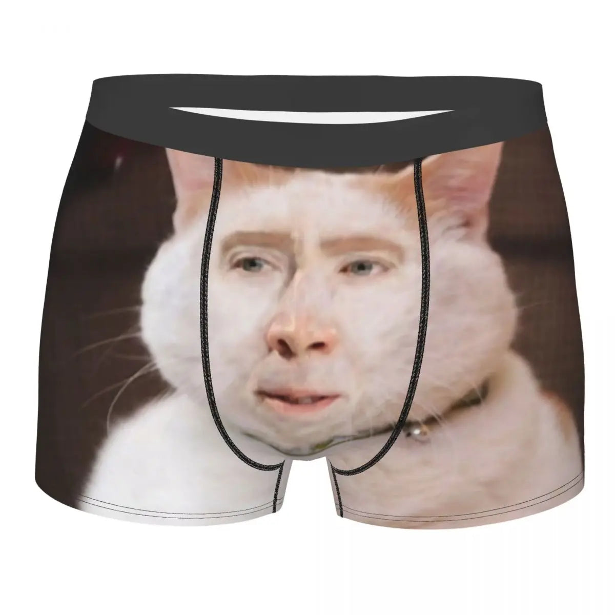 Custom Nicolas Cage Boxer Shorts For Homme 3D Printed Male Nic And His Girls Underwear Panties Briefs Breathbale Underpants